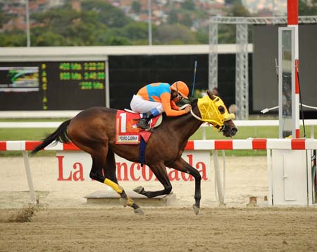 Pedro Caimán contra Tie Hand en el LXXV Clásico Internacional Sprinters