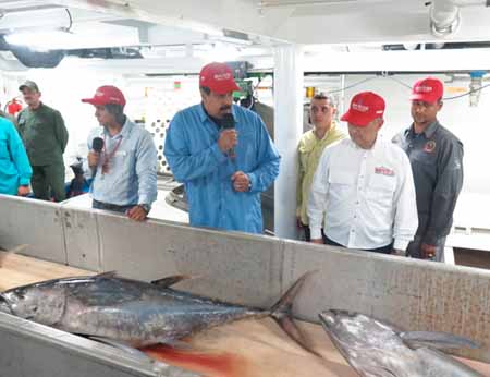  El Presidente de la república, Nicolás Maduro Moros, afirmó que Venezuela tiene condiciones y recursos para convertirse en una potencia pesquera. PRENSA PRESIDENCIAL 