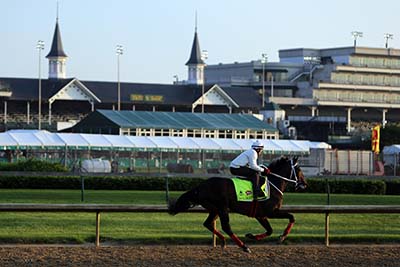 LOUISVILLE, KY - MAY 06: Majesto runs on the track during morning training for the Kentucky Derby at Churchill Downs on May 06, 2016 in Louisville, Kentucky.   Michael Reaves/Getty Images/AFP