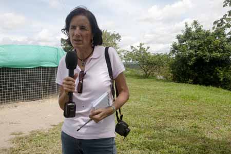 La corresponsal española de El Mundo en Colombia, Salud Hernández Mora, estaba realizando un reportaje al noreste del país, una zona de difícil acceso controlada por el ELN. AFP / ALEJANDRA VEGA