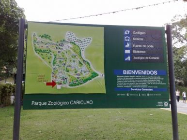 zoologico-de-caricuao