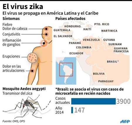 OMS: zika sigue siendo una emergencia mundial 
